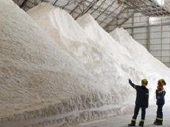 氧化铝行情分析：延续放量上涨，卖方看涨市场